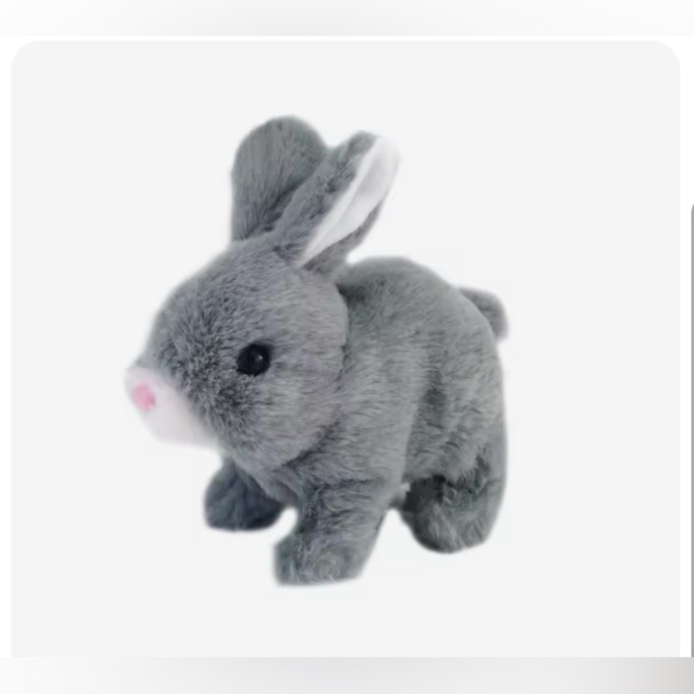 Adorable Bunny Rabbit - Picture 4 of 5